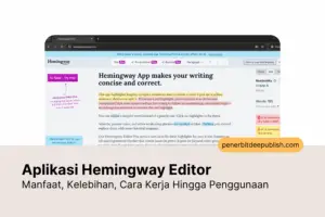 hemingway editor